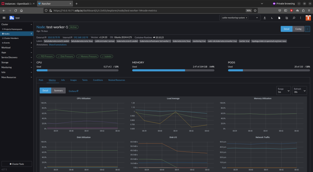 Monitoring information of a Kubernetes worker node in Rancher UI