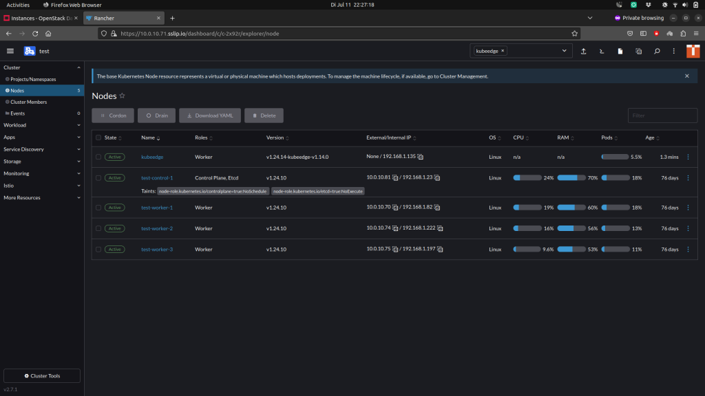 A list of nodes, once the KubeEdge node joined the cluster