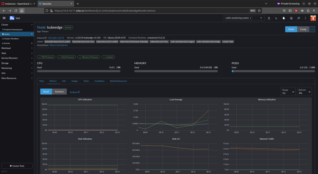 Monitoring information of the KubeEdge node in Rancher UI